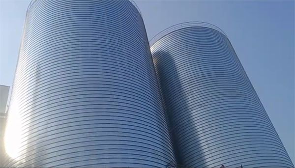 乾县2座混凝土高架卷板仓